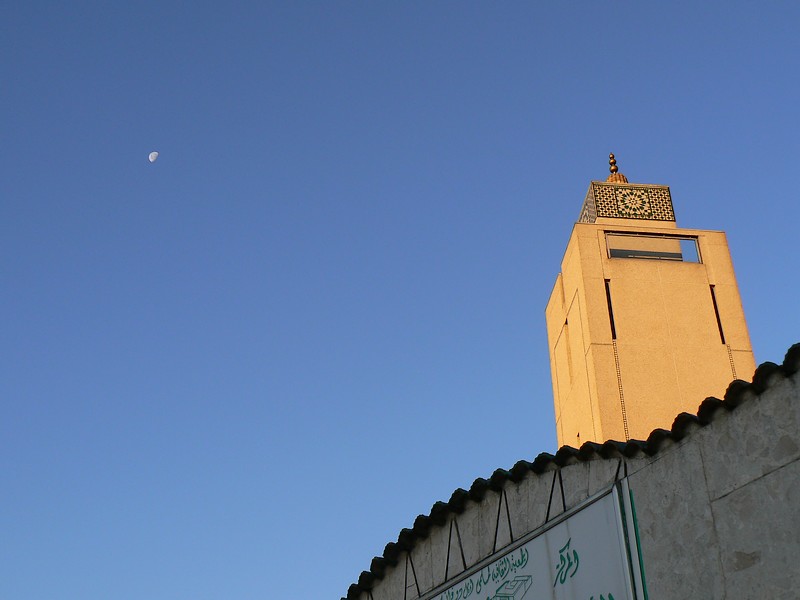 la grande mosquee: la grande mosquee evry 028